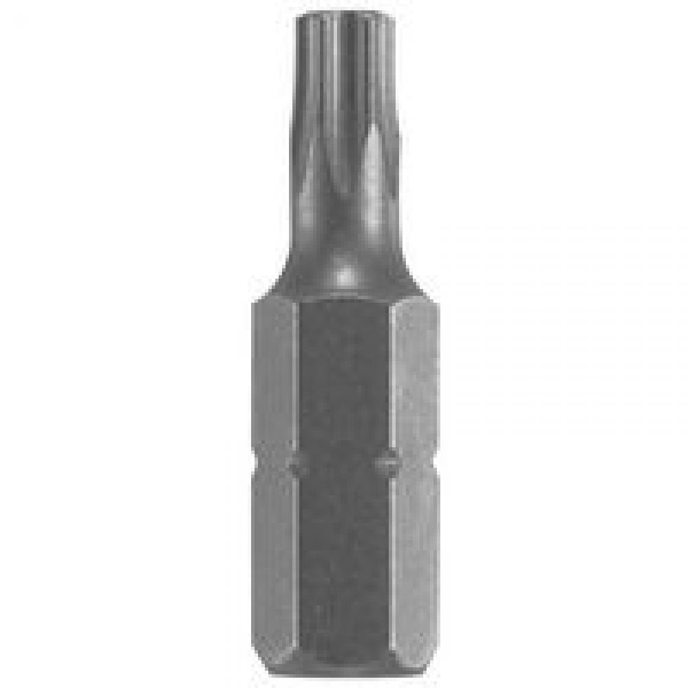 1 In. Torx® Insert Bit, T10