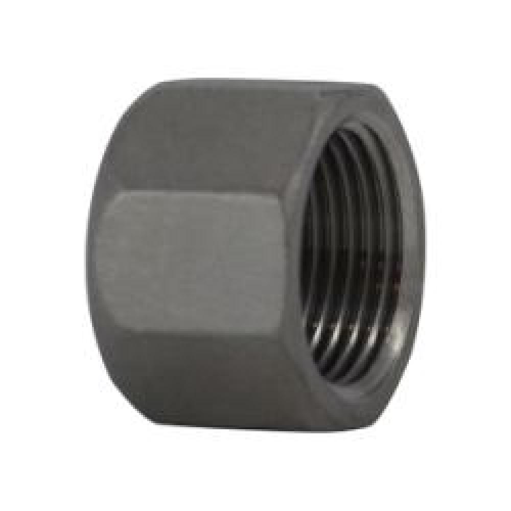 CAP HEX 1-1/4IN FPT SST 150LB