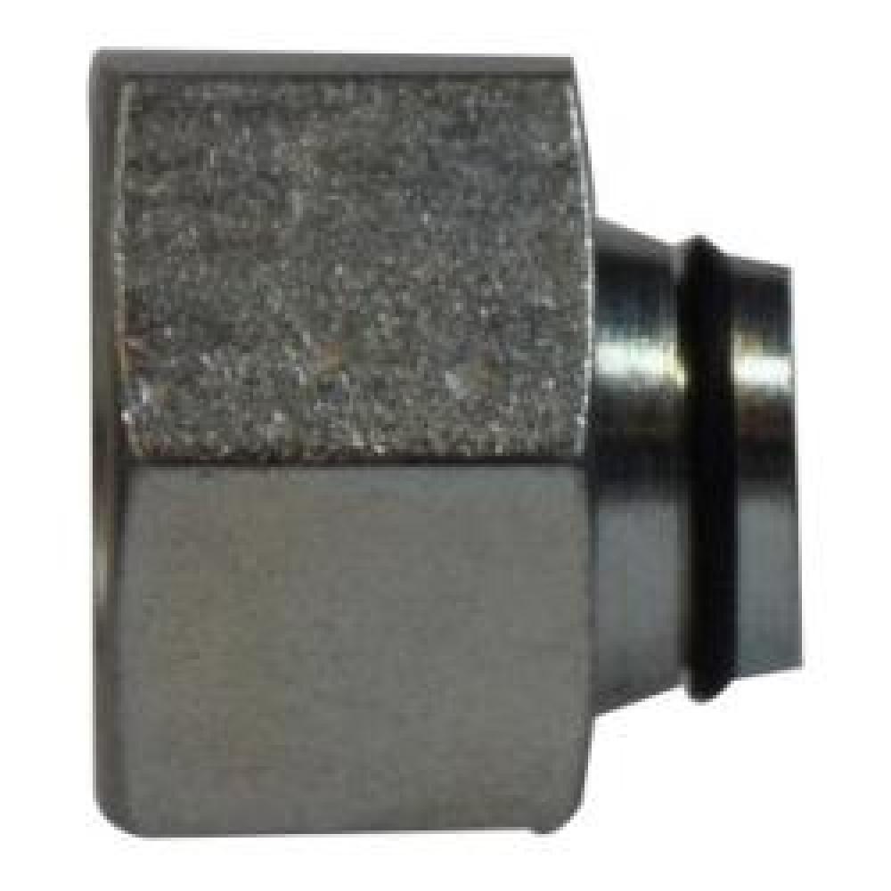 NUT AND INSR PLUG 12IN STL