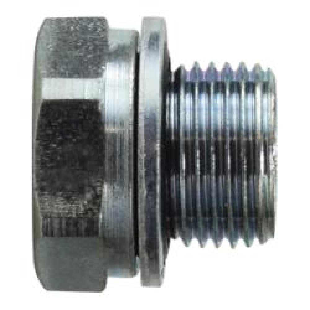 PLUG H HEX 1/4IN MALE BSPP STL 375DEG F