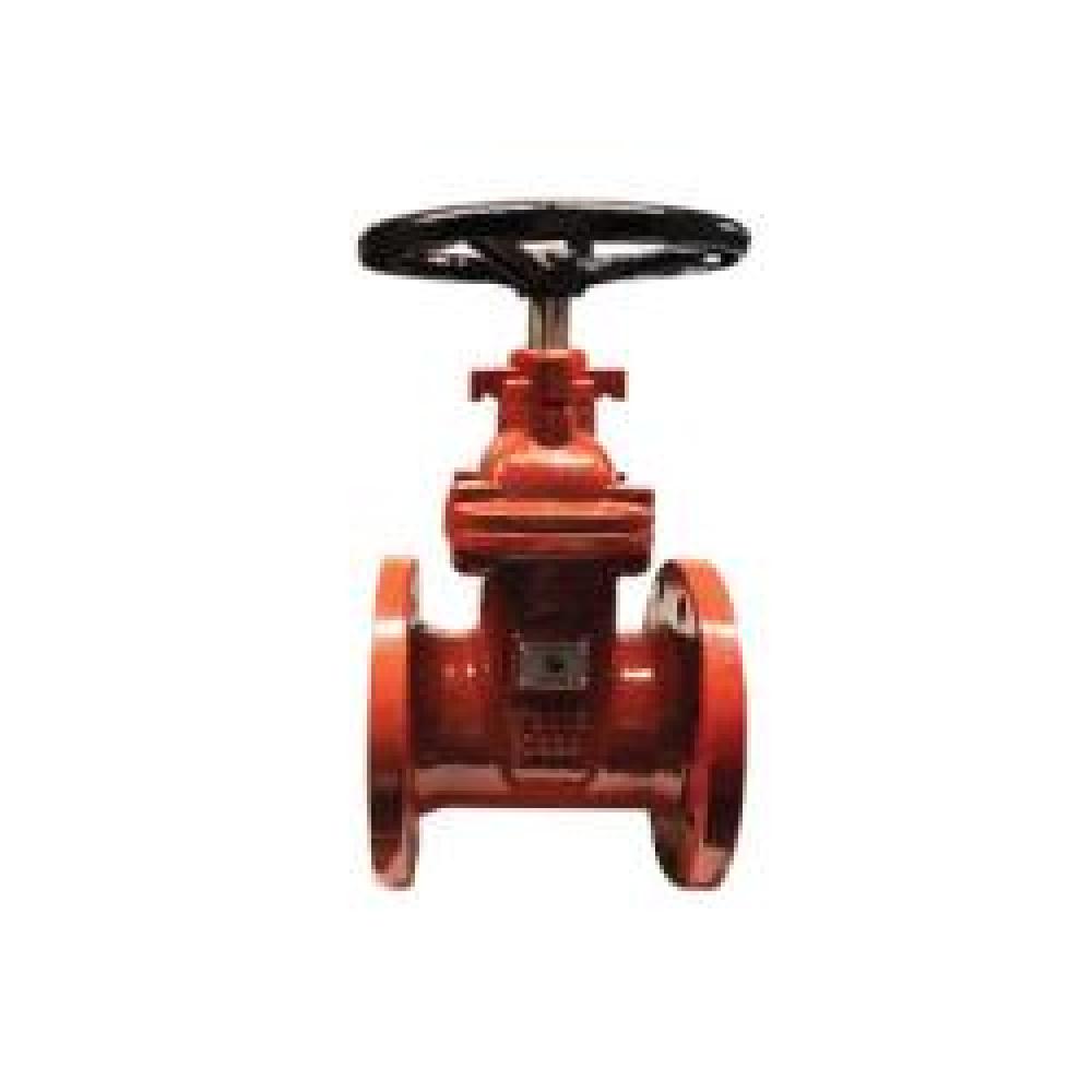 VALVE G SEATED RESIL 2-1/2IN 300PSI SST