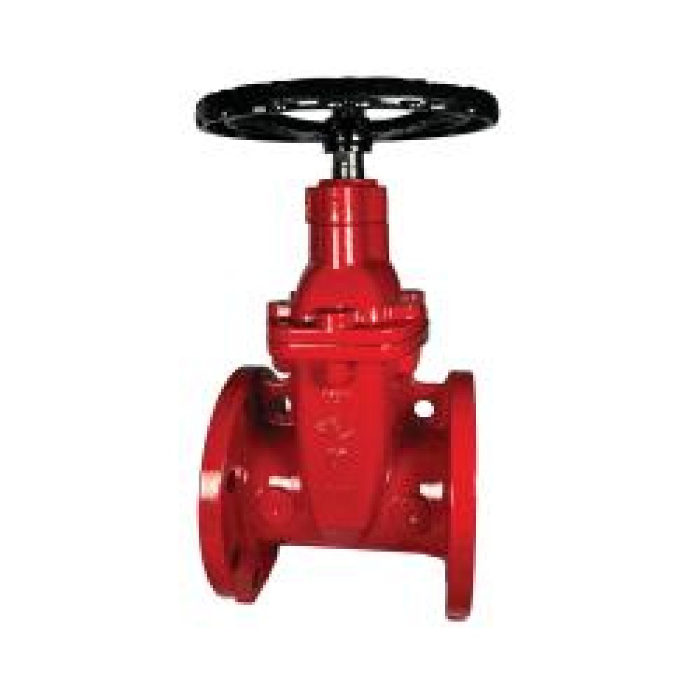 VALVE G 2-1/2IN FLANGED X FLANGED