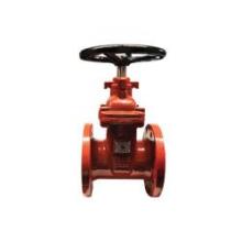 Buchanan 9600FL25 - VALVE G SEATED RESIL 2-1/2IN 300PSI SST