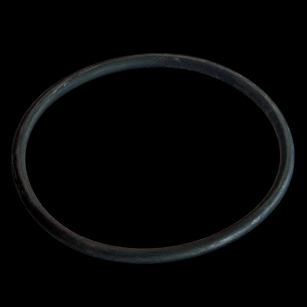 O-RING FOR GRAPHITE INSERT (100 MM)