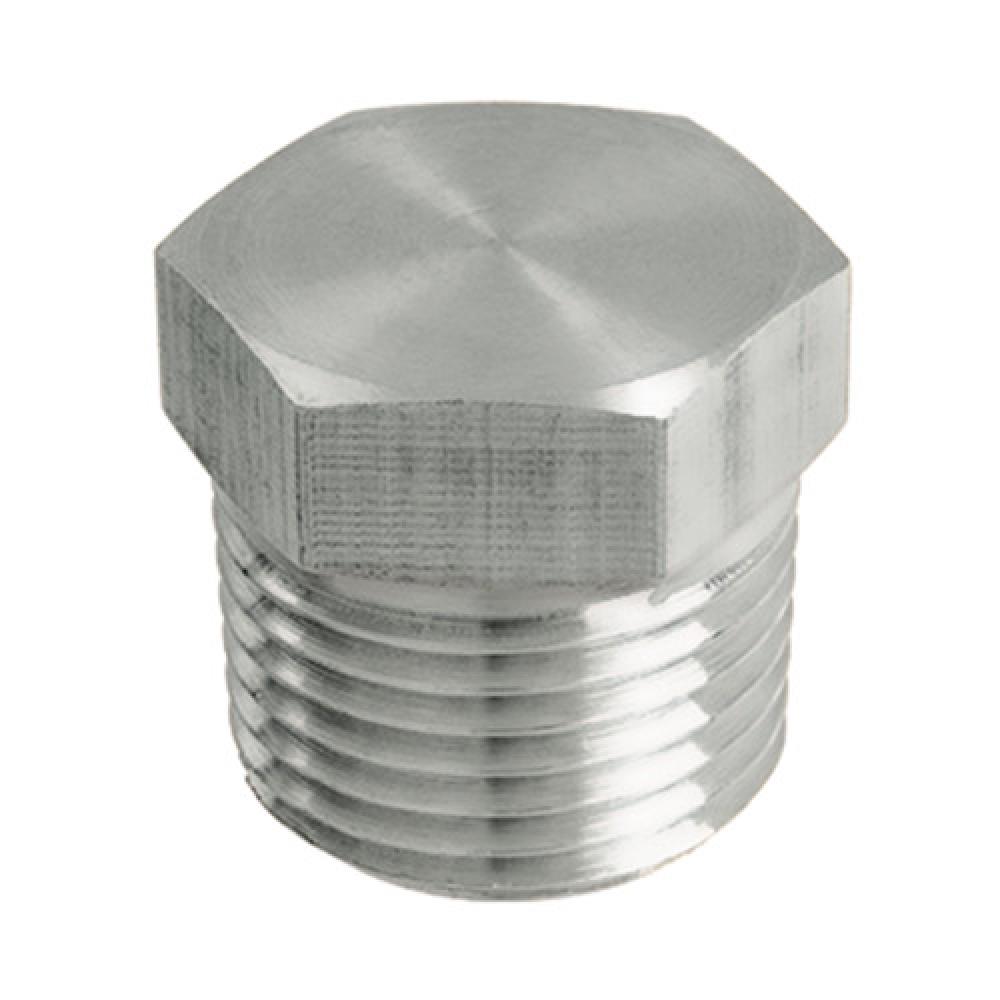 1/2&#34; Hex Head Pipe Plug 316 Stainless Steel sched 40 (150#)