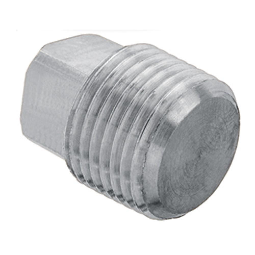1-1/2&#34; Square Head Pipe Plug 316 Stainless Steel sched 40 (150#)