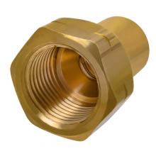 Paulin D2016-D - 1/2" POL Adaptor (FNPT) Brass