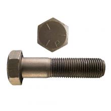 Paulin 43163 - Stainless Steel Socket Cap Screws Assortment (#10-24 & #10-32 Thread)