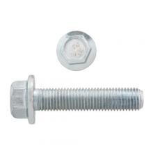 Paulin 42174 - HOMEPAK Round Head Square Drive Machine Screws Assortment