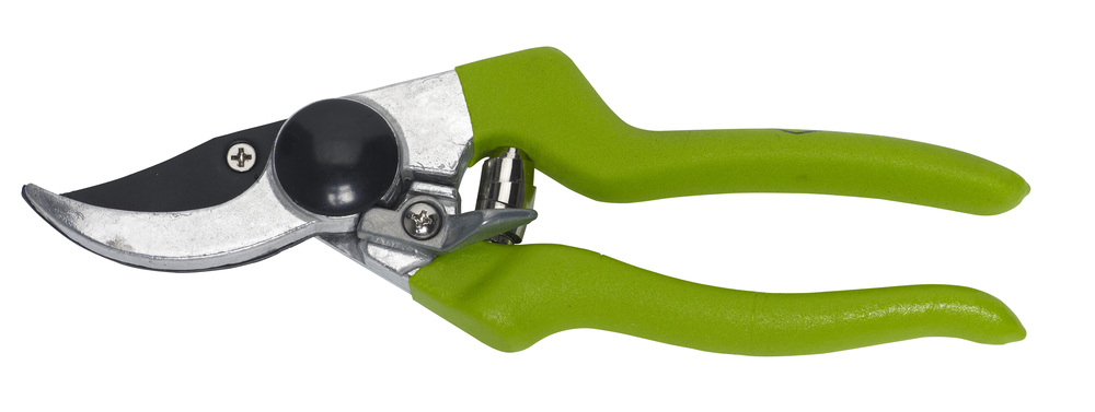 Pruner, 8&#34;, bypass, classic model, Botanica