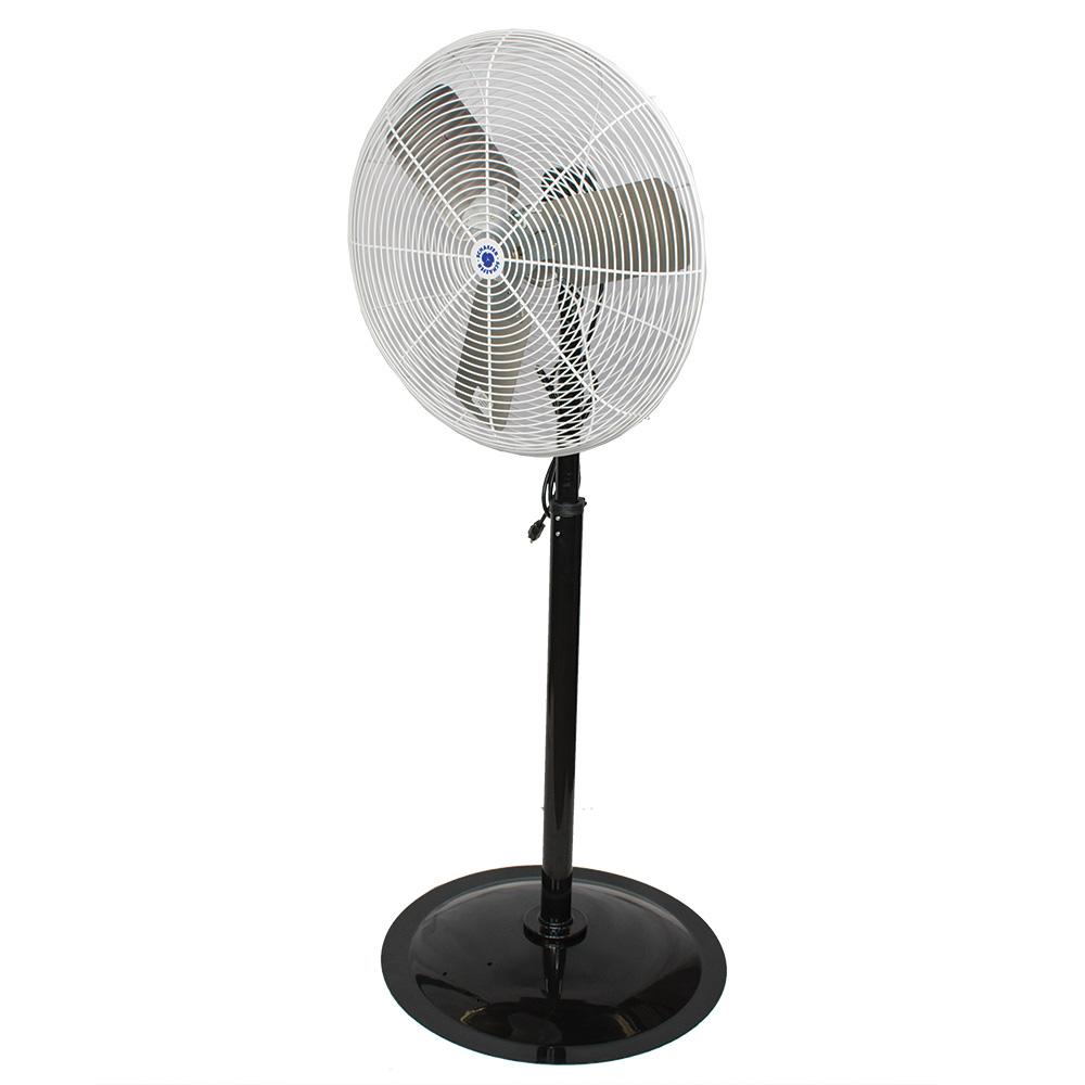 24 in. OSHA Compliant Pedestal Fan