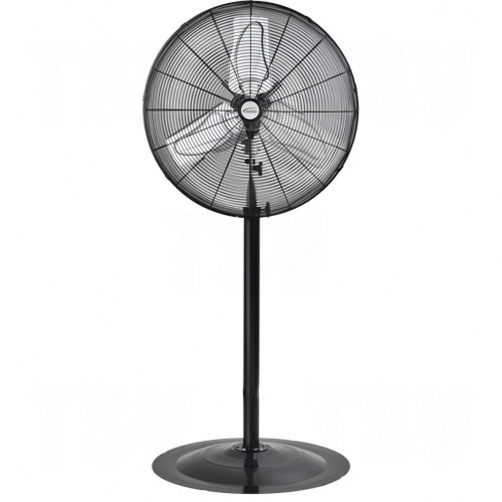 Oscillating Pedestal Fan