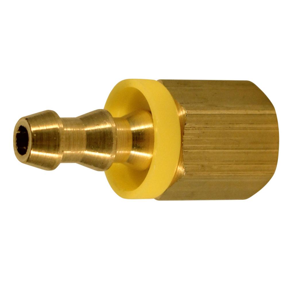 1/4&#34; Female Solid En
