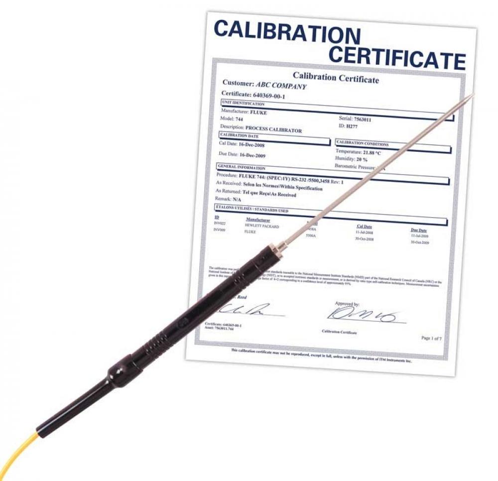 REED R2960-NIST Needle Tip Thermocouple Probe