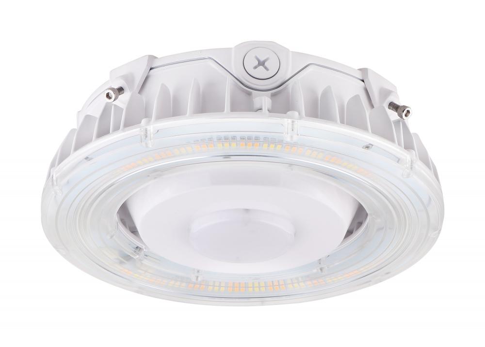 55W LED CANOPY LIGHT