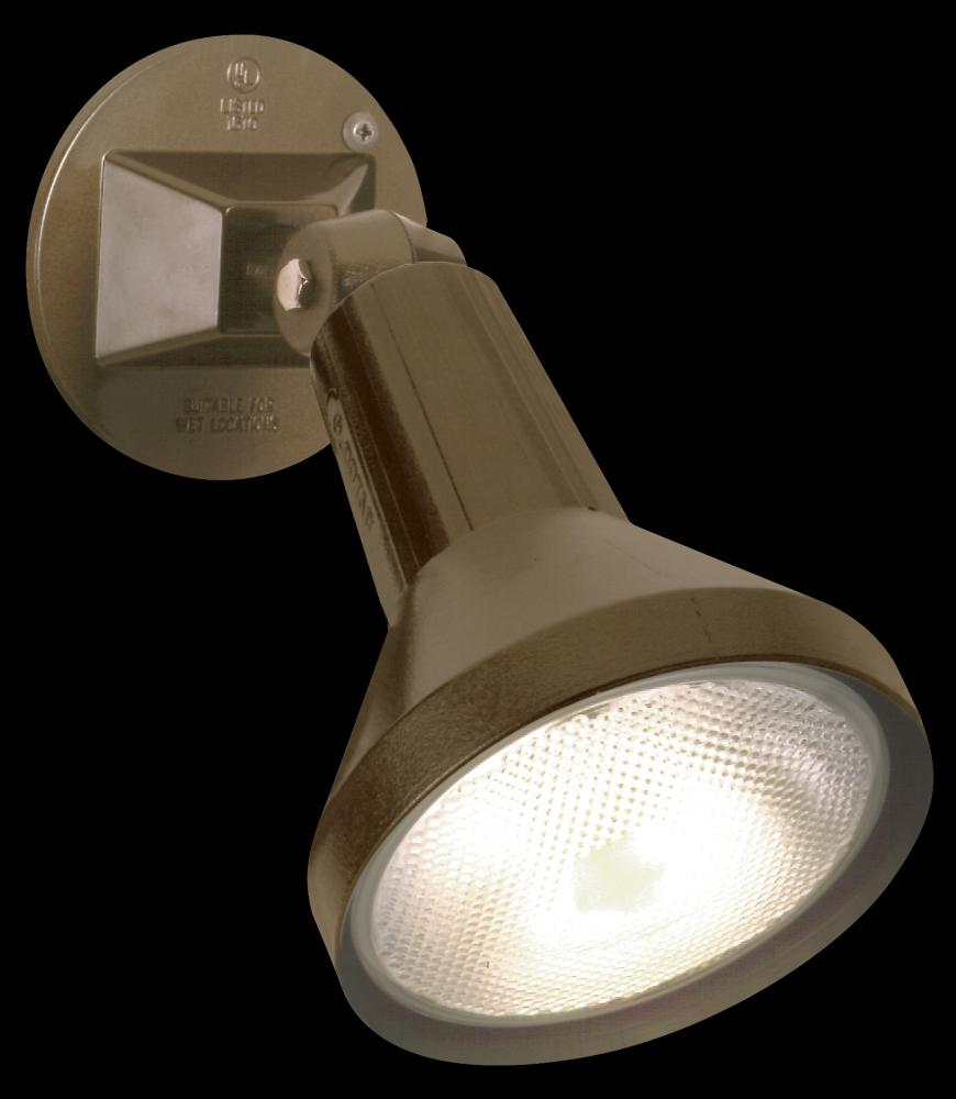 1 LIGHT 8&#34; PAR38 FLOODLIGHT