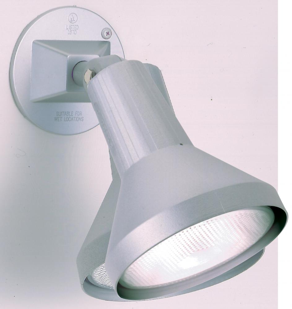 1 LIGHT 8&#34; PAR38 FLOODLIGHT