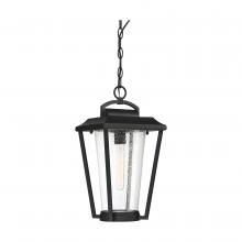 Nuvo 60/6514 - LAKEVIEW 1 LT HANGING LANTERN