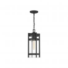 Nuvo 60/6574 - TOFINO 1 LT HANGING LANTERN