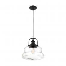 Nuvo 60/6759 - BASEL 1 LIGHT PENDANT