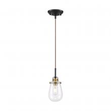 Nuvo 60/6852 - TOLEO 1 LIGHT MINI PENDANT