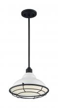 Nuvo 60/7024 - NEWBRIDGE 1LT LARGE PENDANT