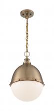 Nuvo 60/7039 - RONAN 1LT MEDIUM PENDANT