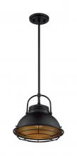 Nuvo 60/7074 - UPTON 1LT LARGE PENDANT