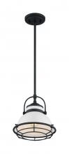 Nuvo 60/7083 - UPTON 1LT SMALL PENDANT