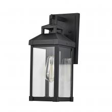 Nuvo 60/7371 - CORNING 1 LT MED WALL LANTERN