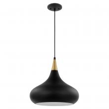 Nuvo 60/7514 - PHOENIX 1 LIGHT MEDIUM PENDANT