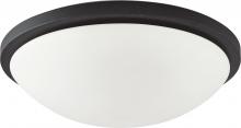 Nuvo 62/1442 - LED BUTTON BL 11" FLUSH