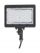 Nuvo 65/616 - 70W LED FLOOD LIGHT