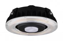 Nuvo 65/628 - 55W LED CANOPY LIGHT