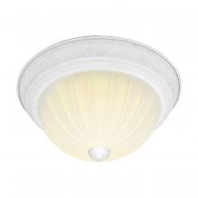 Nuvo SF76/125 - 2 LIGHT 11" FLUSH MOUNT