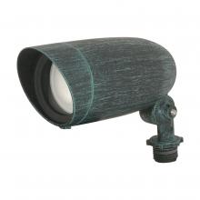 Nuvo SF76/655 - 1 LIGHT PAR16 LANDSCAPE FLOOD