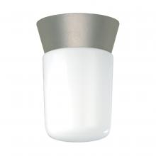 Nuvo SF77/155 - 1 LIGHT UTILITY CEILING MOUNT