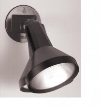 Nuvo SF77/700 - 1 LIGHT 8" PAR38 FLOODLIGHT