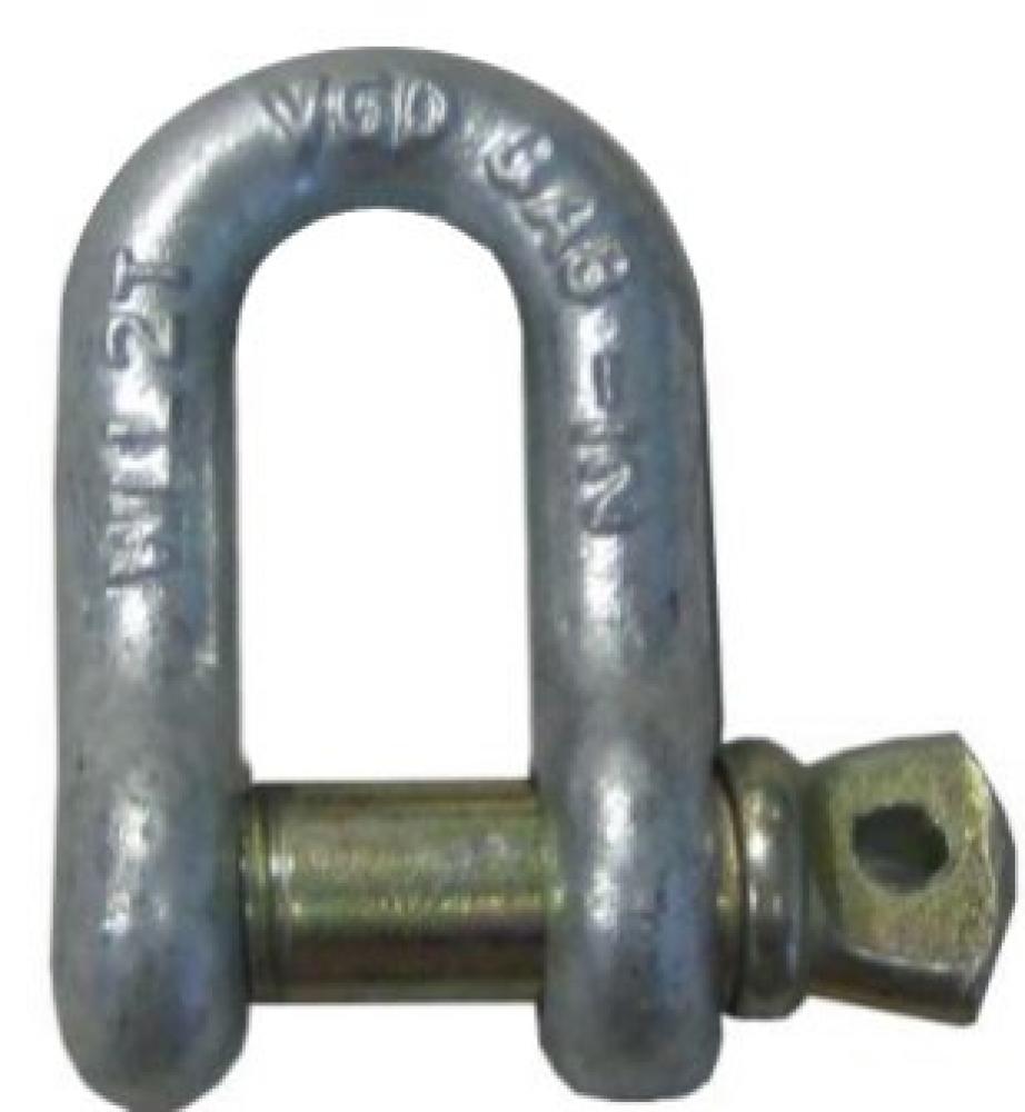 GOLD PIN CHAIN SHACKLE  1  3/4 &#34;
