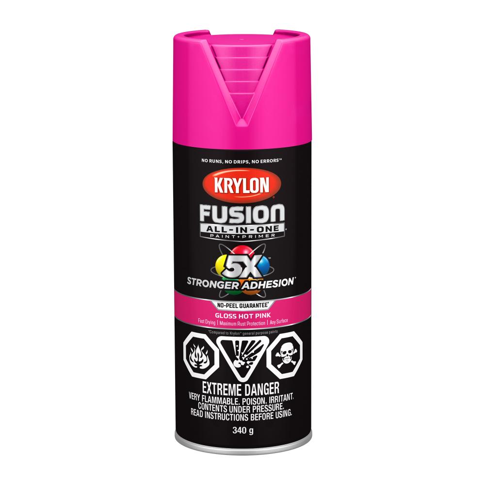 Krylon® Fusion All-In-One™ Gloss, Hot Pink, 340 g