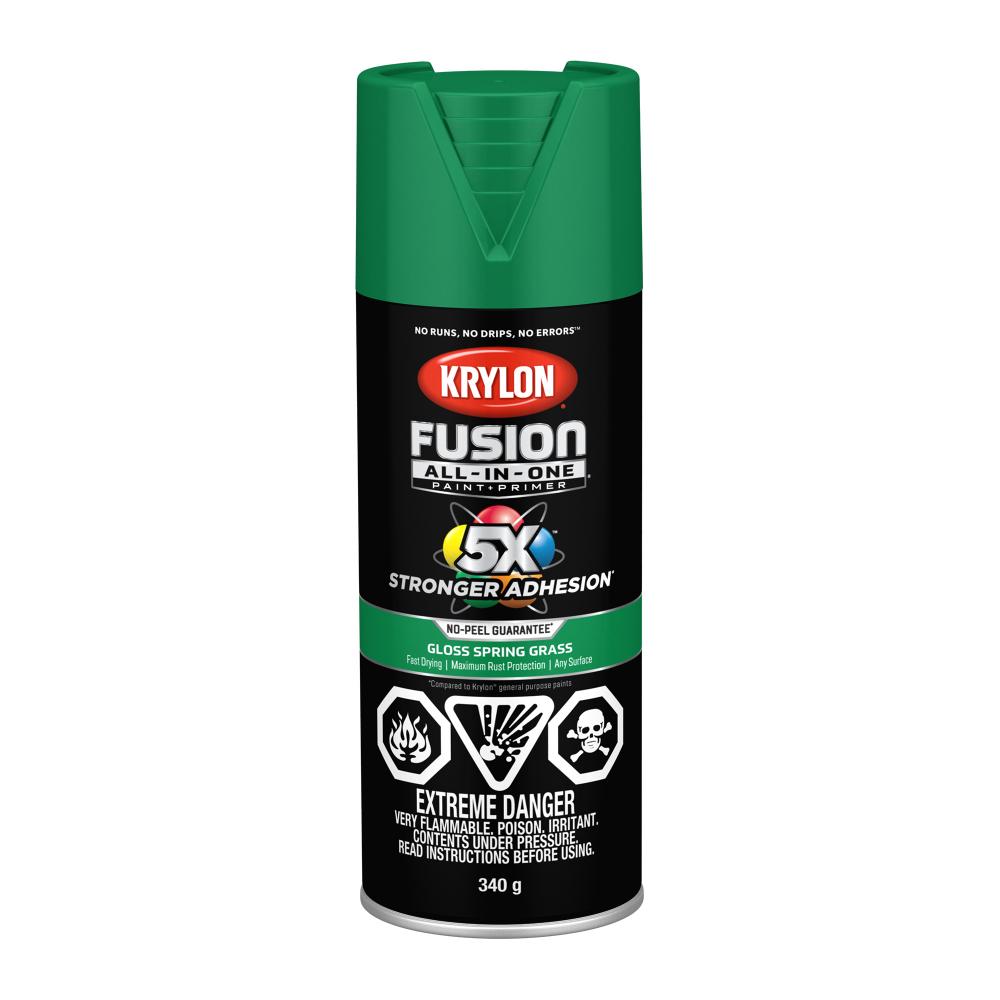 Krylon® Fusion All-In-One™ Gloss, Spring Grass, 340 g