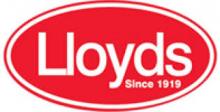 Lloyds Laboratories 92303 - Paint Thinner